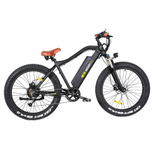 Lithium Power Ebike with Pedal Bafang Motor Shimano 7 Speed